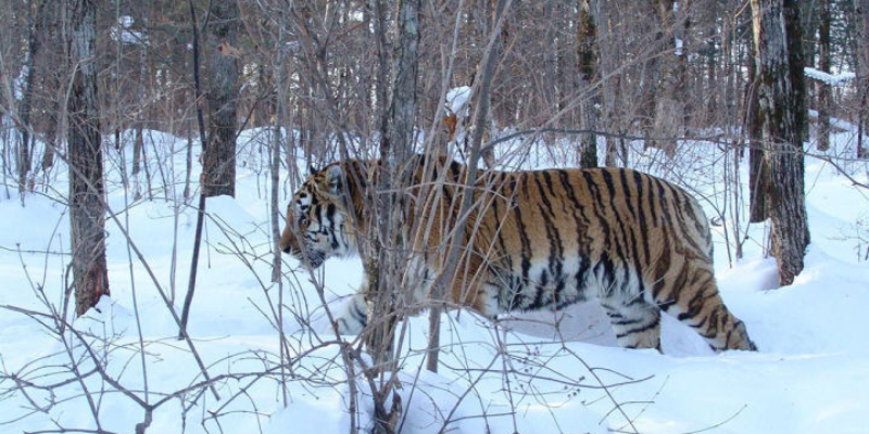 Ảnh trong bài 3[1]