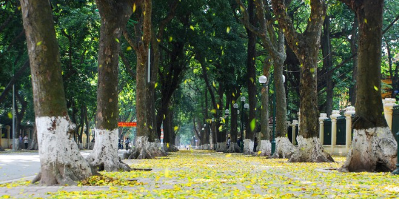 Ảnh trong bài 3[1]