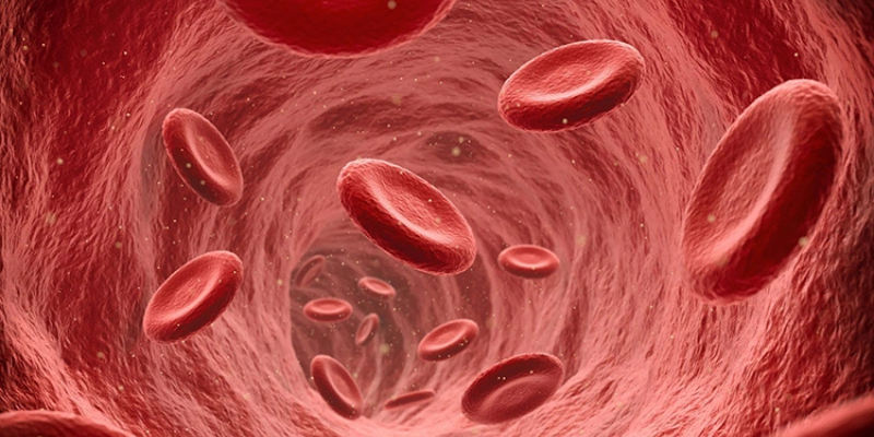 Ảnh trong bài 3[1]