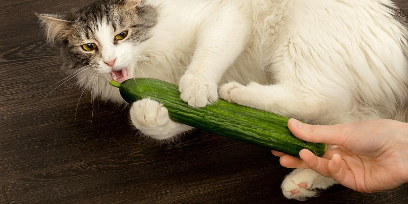 Ảnh trong bài 3[1]