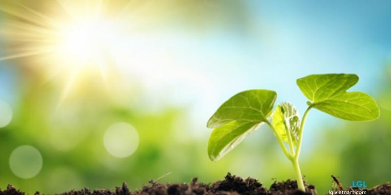 Ảnh trong bài 3[1]