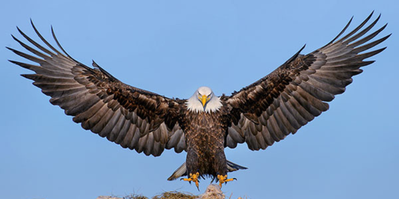 Ảnh trong bài 3[1]