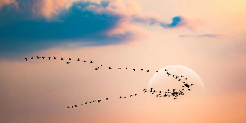 Ảnh trong bài 3[1]