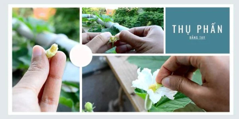 Ảnh trong bài 3[1]