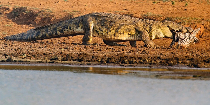 Ảnh trong bài 3[2]