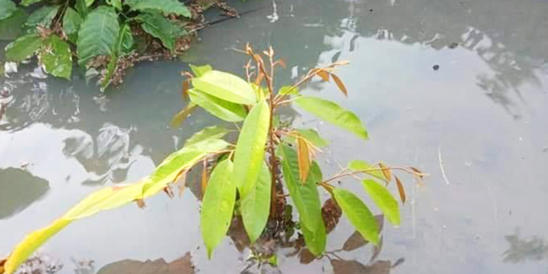 Ảnh trong bài 3[2]